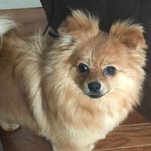 Meet your Posher, Debbie